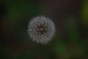 C01E5A63-88A9-4FD2-9E59-57B44585607F/L0/001
