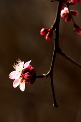 3A637330-5658-4318-9654-BD924B162969/L0/001