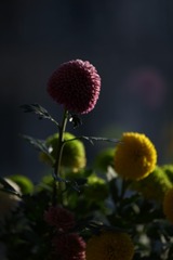 5B49993B-0CBF-4114-AD0C-378E4A06AE59/L0/001