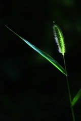 DA70866C-9DF4-4111-8C5C-1CE7737A767A/L0/001