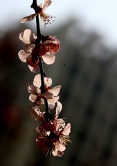 DA8B5530-FE9C-47FE-8D88-F557C3B0C4BC/L0/001