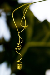 078151C8-C2FB-408D-8C4B-49C8E4D667C7/L0/001