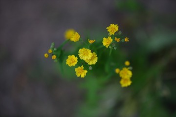 3AA22B05-C279-4149-B2A0-D88BD60121AC/L0/001