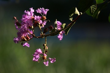 F3C97A36-F6BB-4BF1-9026-A1FD57185D8F/L0/001