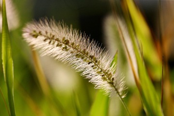 EEC4E82E-18E2-4C6D-88B2-25D1FFD2D0C3/L0/001