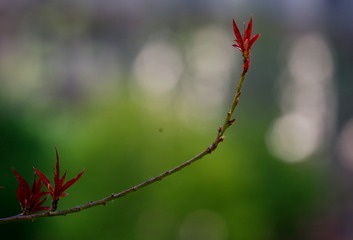 9B37274D-762F-4180-9B01-671D8283CB33/L0/001