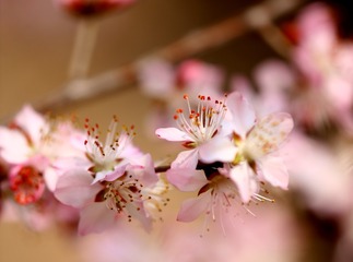 CC20C4B5-A3CE-49B8-9461-35DCA86F7115/L0/001