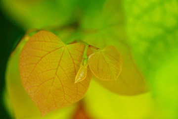 D674662C-D087-418B-9DD4-A6156D1C824F/L0/001
