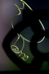 AE7F5B53-E5D1-46A4-8E71-5CA7235C0B33/L0/001