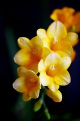B016EB8C-7C1B-423B-97D4-421BA24C0E34/L0/001