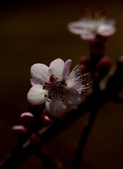 083496F1-CCD7-40BF-9614-B3066CB54E5E/L0/001