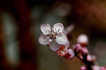 C0E825B8-B3C7-489A-AF81-80E1DE0FDE16/L0/001