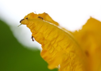 4795E0F2-5C39-48E3-A871-9751F2863FA8/L0/001