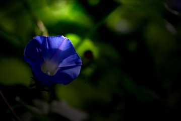 B05866A4-7BF5-4D89-BD5B-35A650291204/L0/001