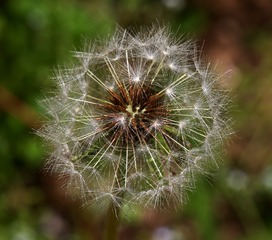8BA150F0-804D-4498-A592-87E104520990/L0/001