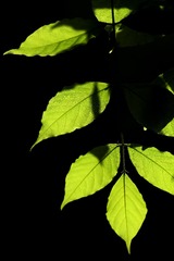 F6E4EA9D-2767-4000-B272-8D371310BA53/L0/001