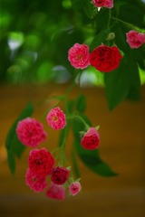 3AD2D626-1338-411E-A32B-9C22CC47C6CB/L0/001