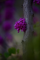 0386BB50-7777-46DD-A21E-19ED29D6F9E4/L0/001