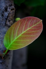 7FE9BA12-0CE1-422F-A0EA-EEA4AB8B8788/L0/001