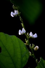 EAE075C9-2AA6-4AC9-BD34-1405C6B40F84/L0/001