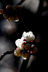 D1285F0F-1926-442A-A46A-5C09AD96E811/L0/001