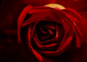 09D3B107-D815-4E5F-B771-E9A6B2BB4AAF/L0/001