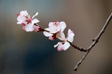 0F497834-5C6A-49CF-80DD-1E18DF40C61B/L0/001