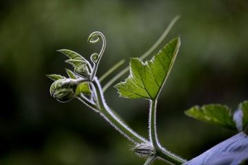 499D2770-D0CB-45E1-A0CC-D26C3759911B/L0/001