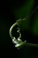 FA2986EF-CA98-4BB3-8402-E5E0E893D960/L0/001