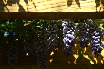 9B33F5D6-2F19-4E36-AE0F-D797A0916903/L0/001