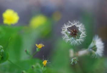 808D6A4B-1720-4458-81FD-890A18A42ED7/L0/001