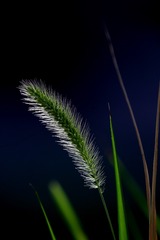 15B8B7F9-7F89-4989-ABC8-6469F6681340/L0/001