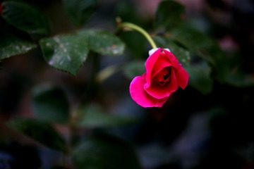 8A9FBFC6-2EC7-4917-8C04-0518FED42150/L0/001