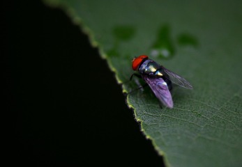 95FD34F8-EF80-4AD5-9799-45451D81D8AA/L0/001