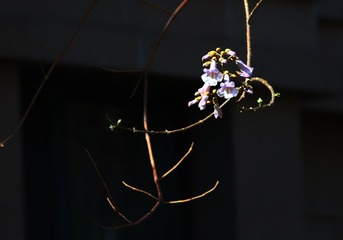 11EF0D11-3640-4E4A-972F-D925F94DCD1B/L0/001