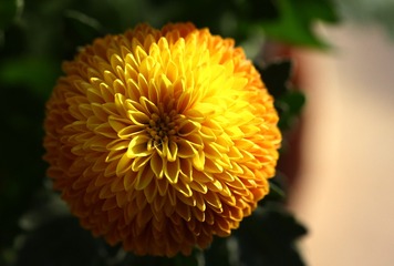 8D1E156E-9E48-46FB-9558-57BF23907905/L0/001