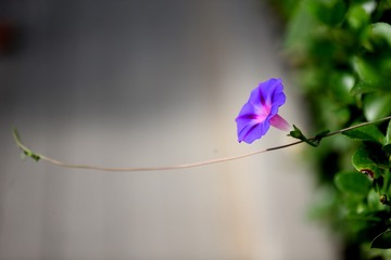 FA720FF2-CD49-4EFA-A1F0-DA796A323287/L0/001