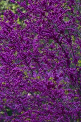 9AA7501C-C350-4909-9F17-C07245C1F28B/L0/001