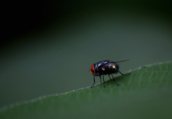 77A3CF73-D3AF-473C-B497-FD0B593F7DF7/L0/001