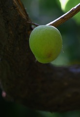 F0C7B366-4618-4115-97A3-FA094797CB05/L0/001