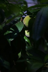068C763D-69E2-4D48-A7D8-3196D28ACE5C/L0/001