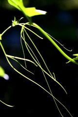 F3564CEA-F388-4CEA-A5B7-39BF22152447/L0/001