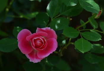 7694276C-DC75-4C6E-8D1E-5EC99F58BDF8/L0/001