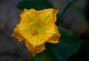 2B08C403-B1F5-4C3B-A285-2B9527415260/L0/001