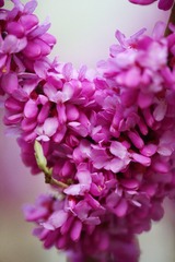 A32B9606-8C74-4CB0-A3B1-457D772462E2/L0/001