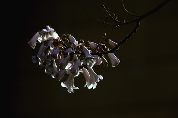 9028BE89-6D86-4154-929A-677C93AD0FCD/L0/001