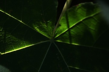 F85551F5-B799-45DD-8AA3-FCFF9F160AA6/L0/001