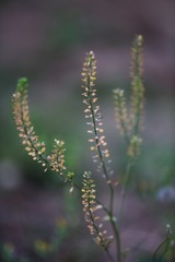 8753575F-F286-4DEB-9FAE-C7188DA8E979/L0/001