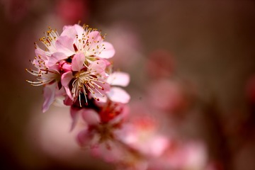 E5D624F0-4169-4ADD-97B1-6BC6624C4638/L0/001