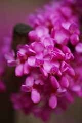 13EA5795-D6F6-4842-B67E-F6299DD4CD46/L0/001